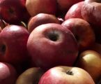 Обміняю рвані яблука 2