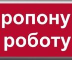 Керівника зі знанням 1С 1