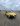 Citroen Nemo_bg