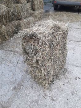 Сіно в тюках 1