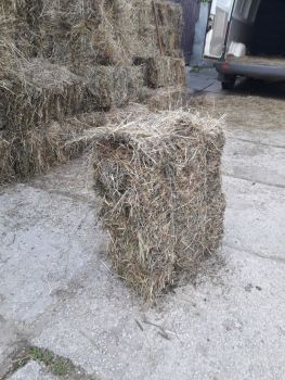 Сіно в тюках 2