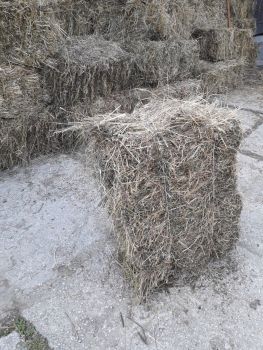 Сіно в тюках 3
