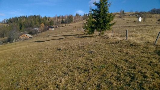 Земельна ділянка у Карпатах 2