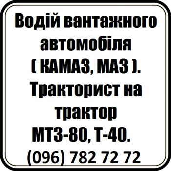 Водій 1
