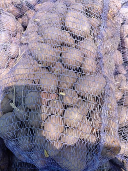 Дрібна картопля 1