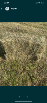 Сіно, тюки 1