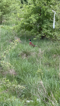 Тест тест тест ти ти 1