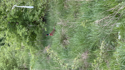 Тест тест тест 1