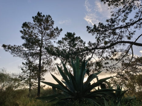 Тест послуги 2 1