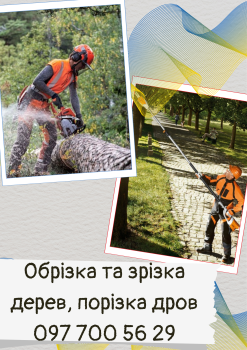 Обрізка дерев 2