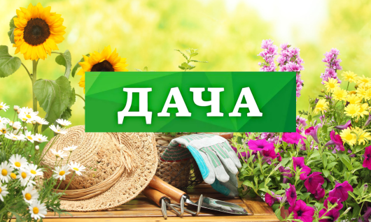 Дачна ділянка