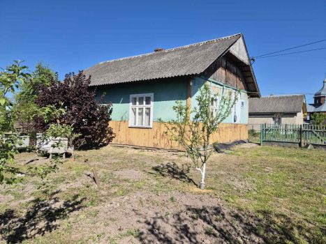 Будинок з бізнесом біля нього 3