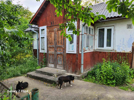 Здам будинок 5