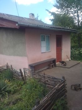 Будинок дерев'яний 6