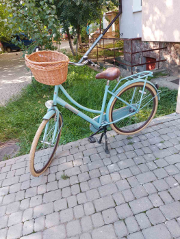 Ровер жіночий