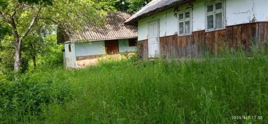 Господарство