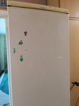 Холодильник Snaige
