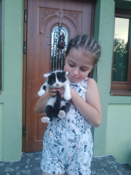 Віддам в добрі руки 4