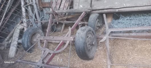 Віз фірра 1