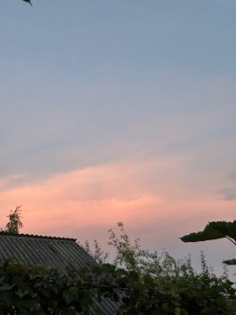 Тест фіксування 1