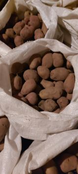 Картопля