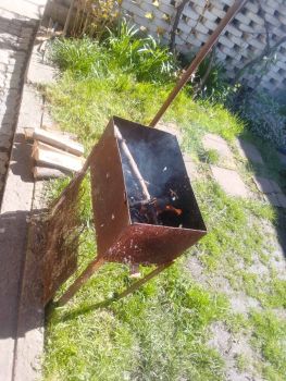 Дрова фруктових дерева 1