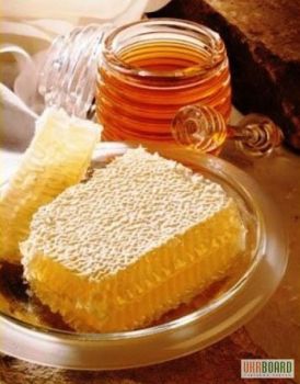 Бджолиний мед