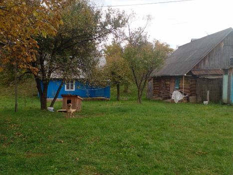 Здам будинок в оренду 8