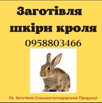 Шкіри кролика 1