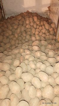 Продукти харчування 1