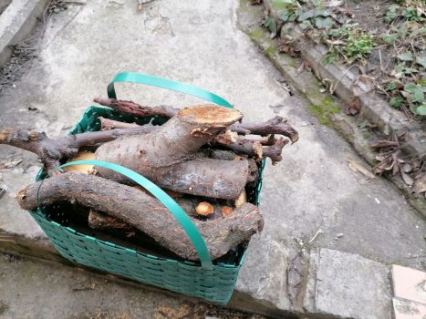 Плетені корзини 5