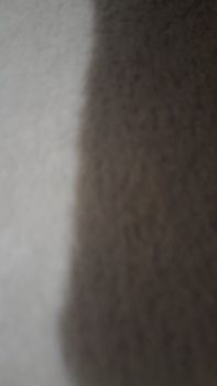 Здам 1-кіматну квартиру 1