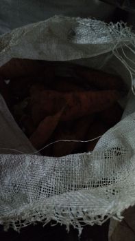 Цибуля, морква, картопля 2