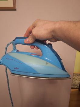 Праска побутова 2