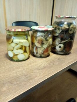 Мариновані та сушені гриб 1