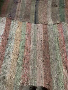 Англо нубійська 1