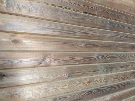 Термодошка, термососна 1