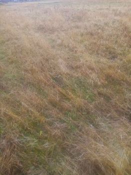 Земельна ділянка під забудову 3