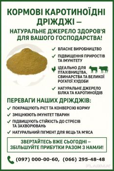 Біодизель, biodisel 2