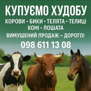 Купуємо худобу