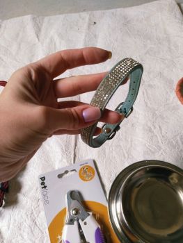 Повідки, миска, щепці для кігтів 3