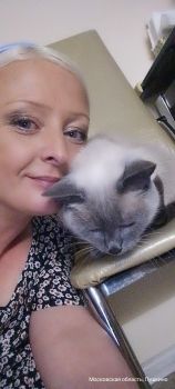 Шукаю роботу в Буковелі 1