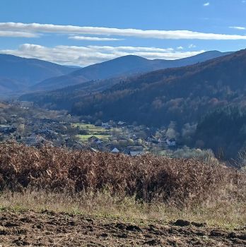 Паркет дубовий 400х40 мм 1