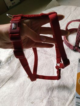 Повідки, миска, щепці для кігтів 2