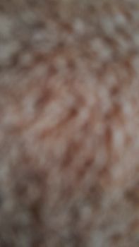 Здам 1-кімнатну квартиру 1