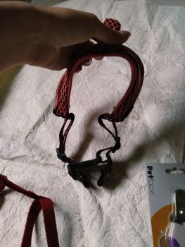 Повідки, миска, щепці для кігтів 4