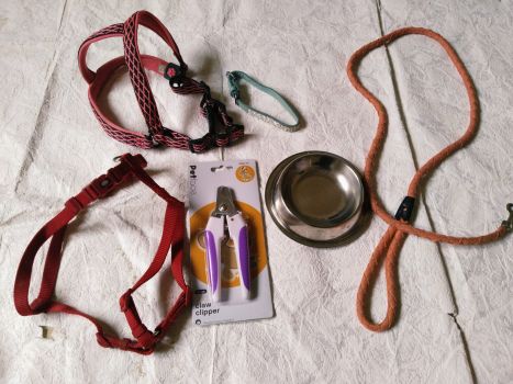 Повідки, миска, щепці для кігтів