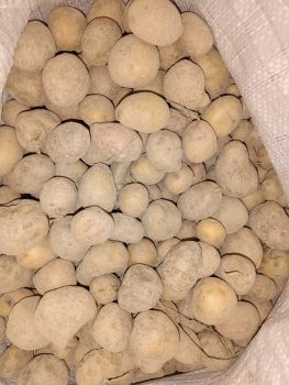 Дрібну каролю 1