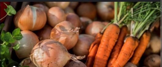 Картопля, буряк, морква, цибуля 1