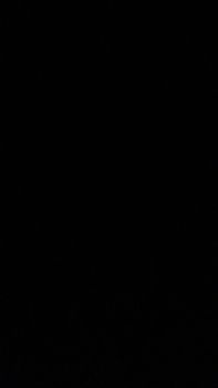 Картопля дрмашня 1